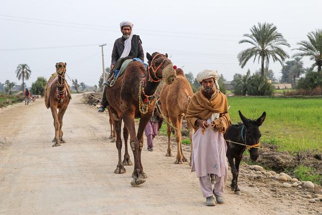 Analyzing Current Statistics and Demographics of Pakistani Migrants