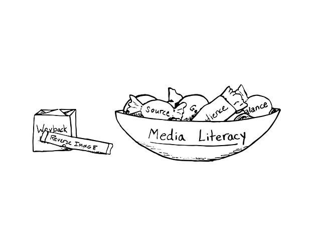 Strategies for Fostering Media Literacy and Critical Consumption